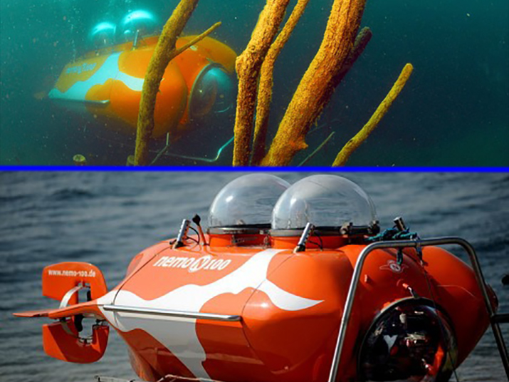 подводная лодка Nemo 100