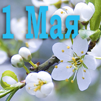 1 мая — праздник Весны и Труда!